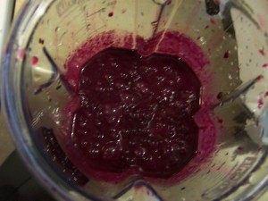 elderberry_mead-elderberries_vitamix elderberries whizzed in the VitaMix