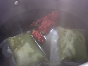 Coca Sumac infusion -- photo by Morgan Lindenschmidt